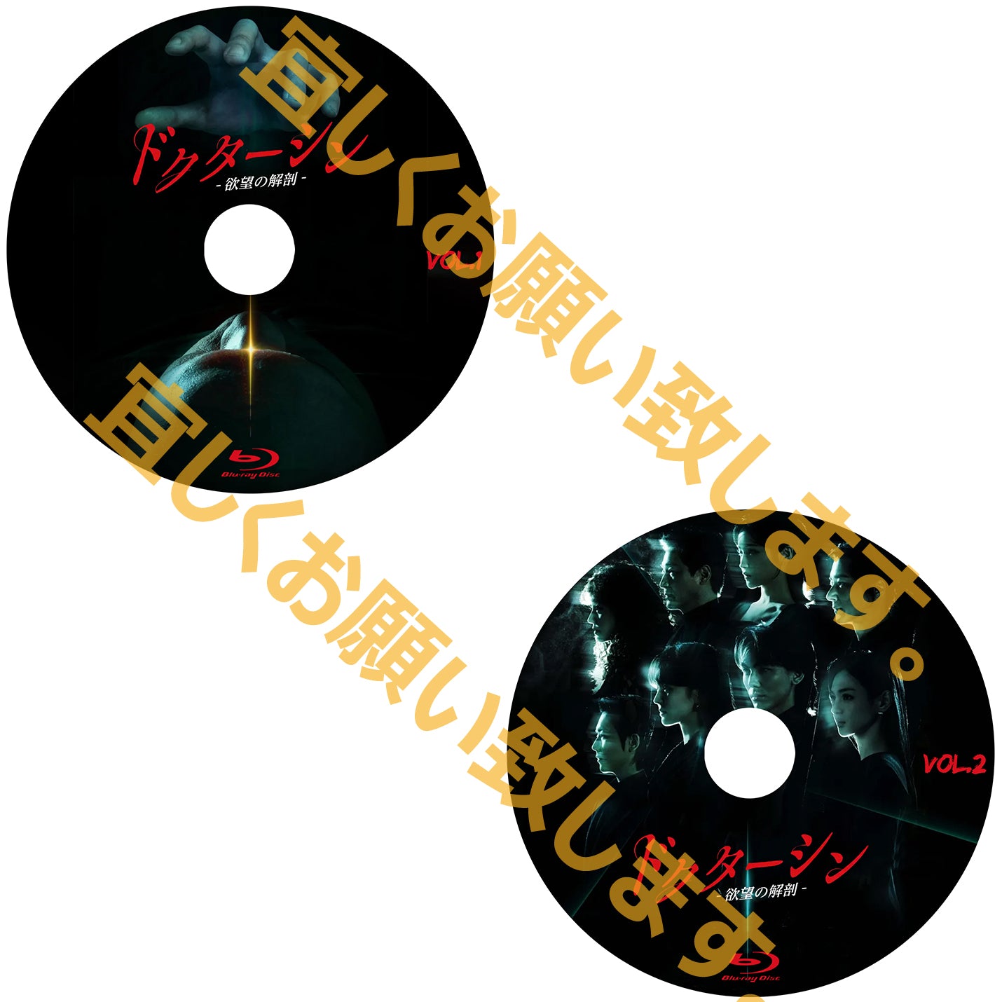 1161. ドクターシン -欲望の解剖-