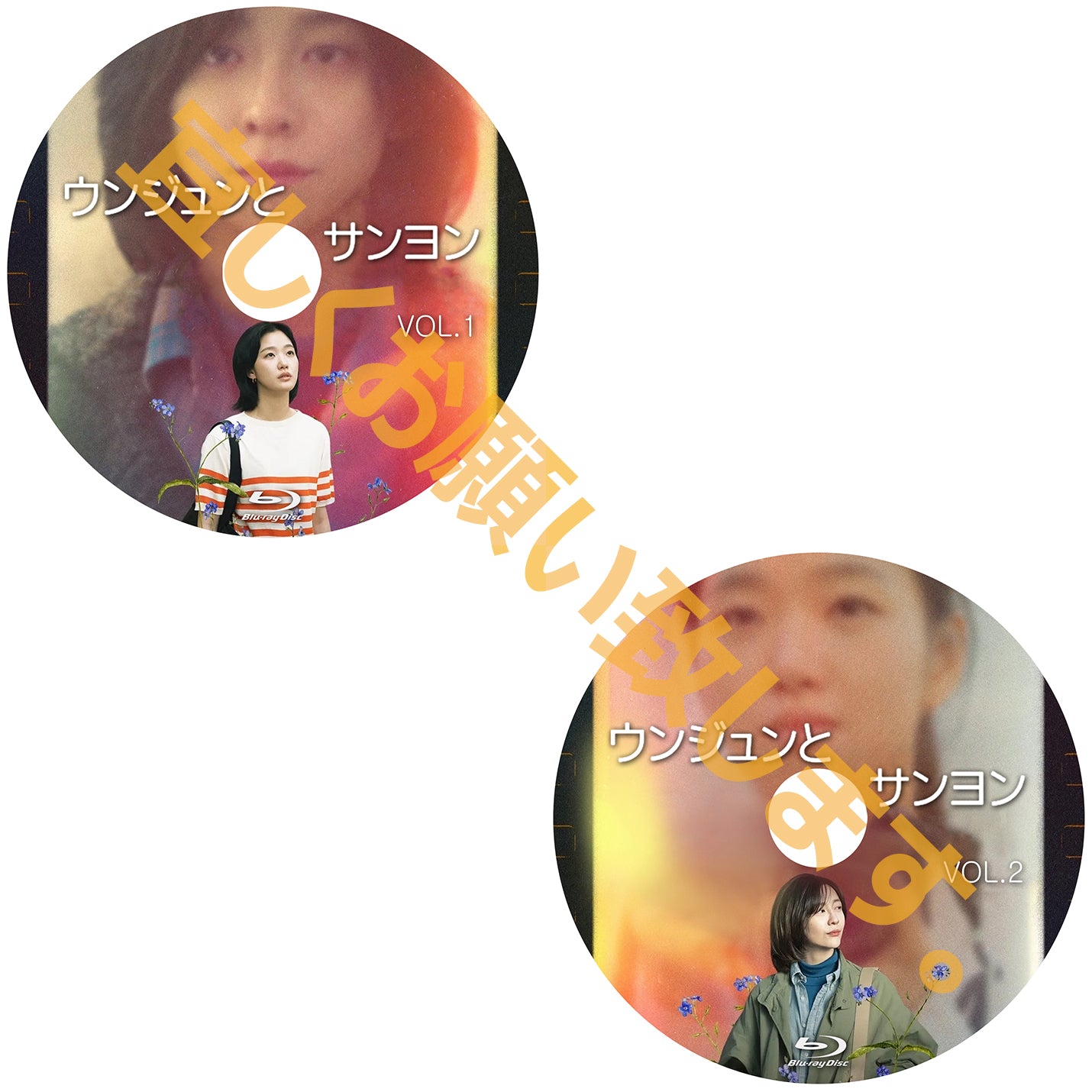 1014. ウンジュンとサンヨン