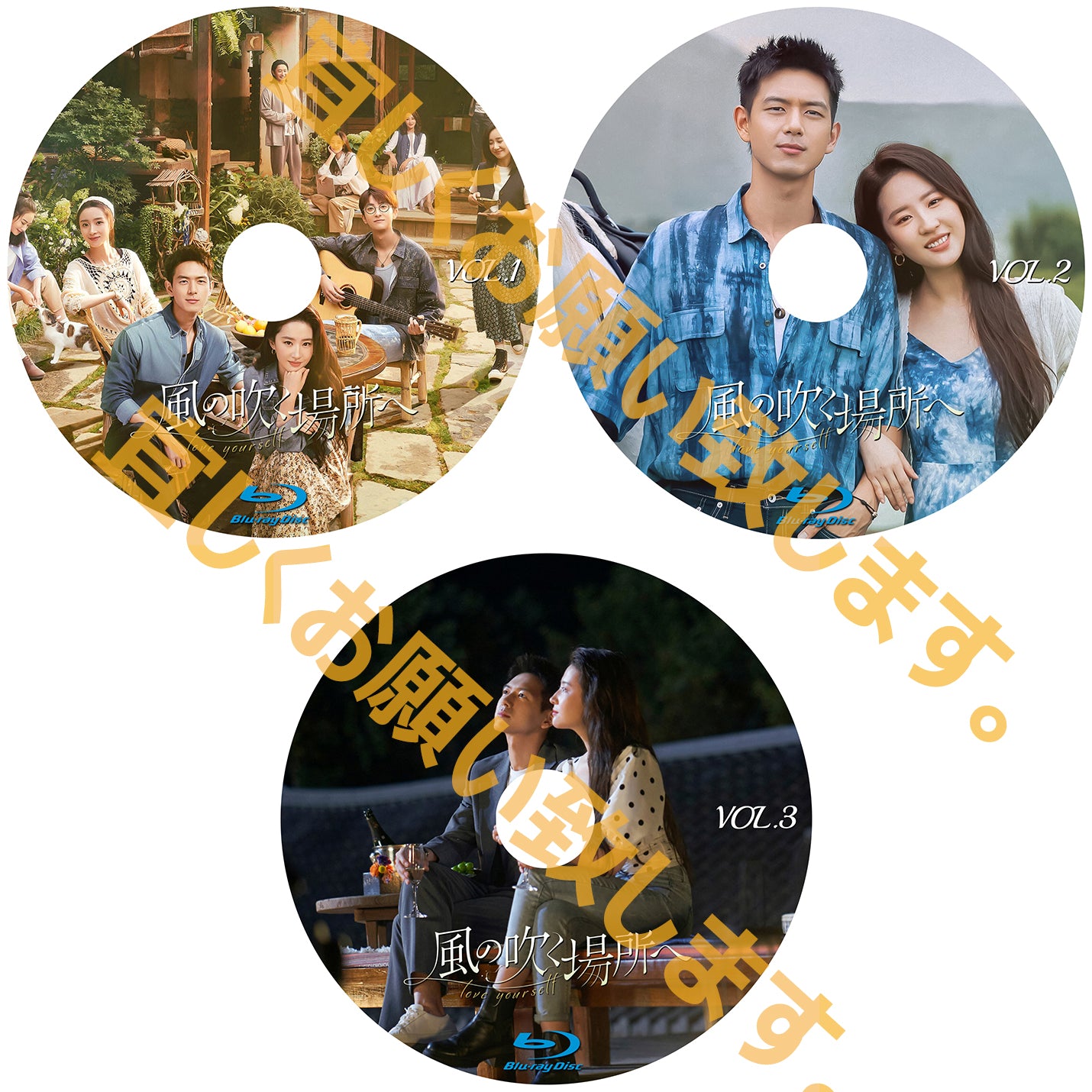 C737. 風の吹く場所へ　～love yourself～