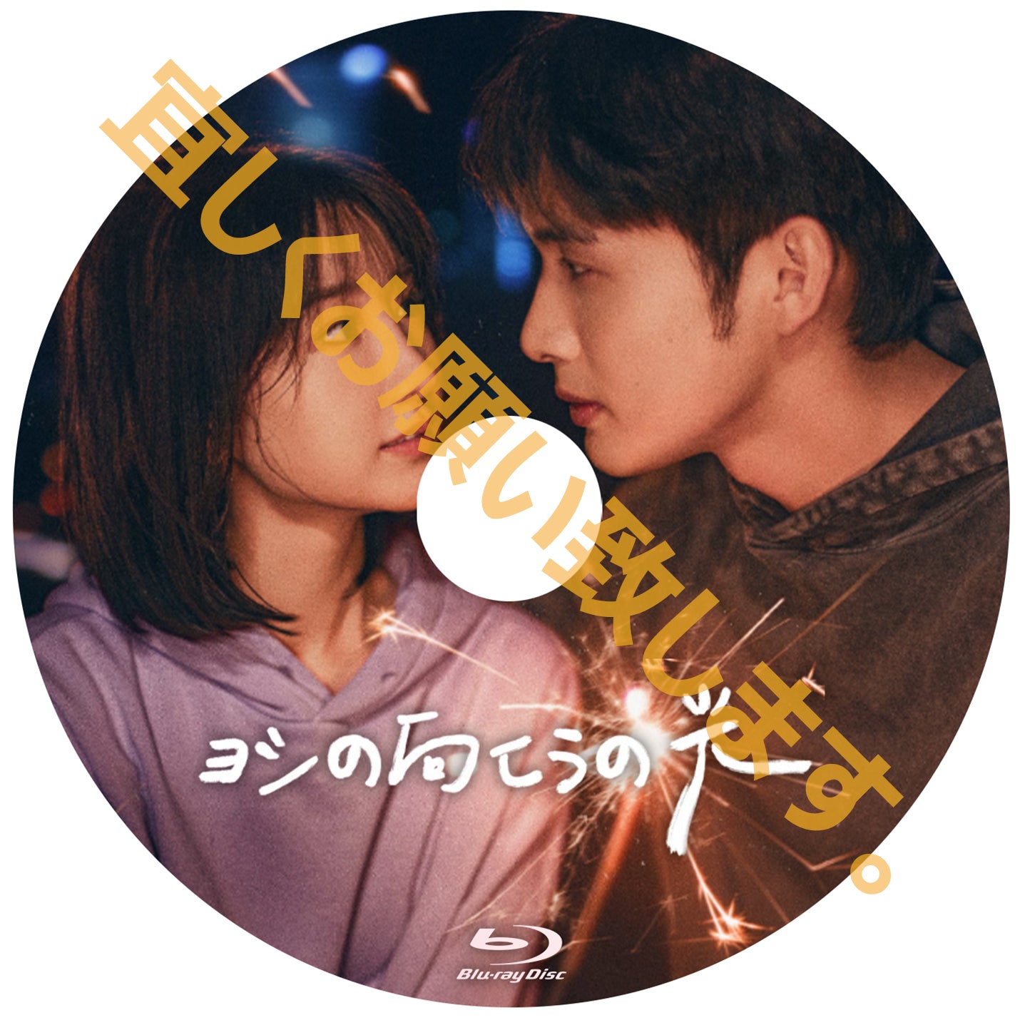 C743. ヨシの向こうの光