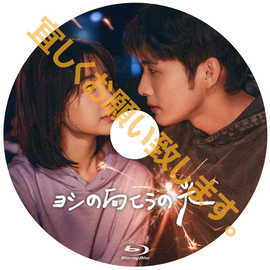 C743. ヨシの向こうの光