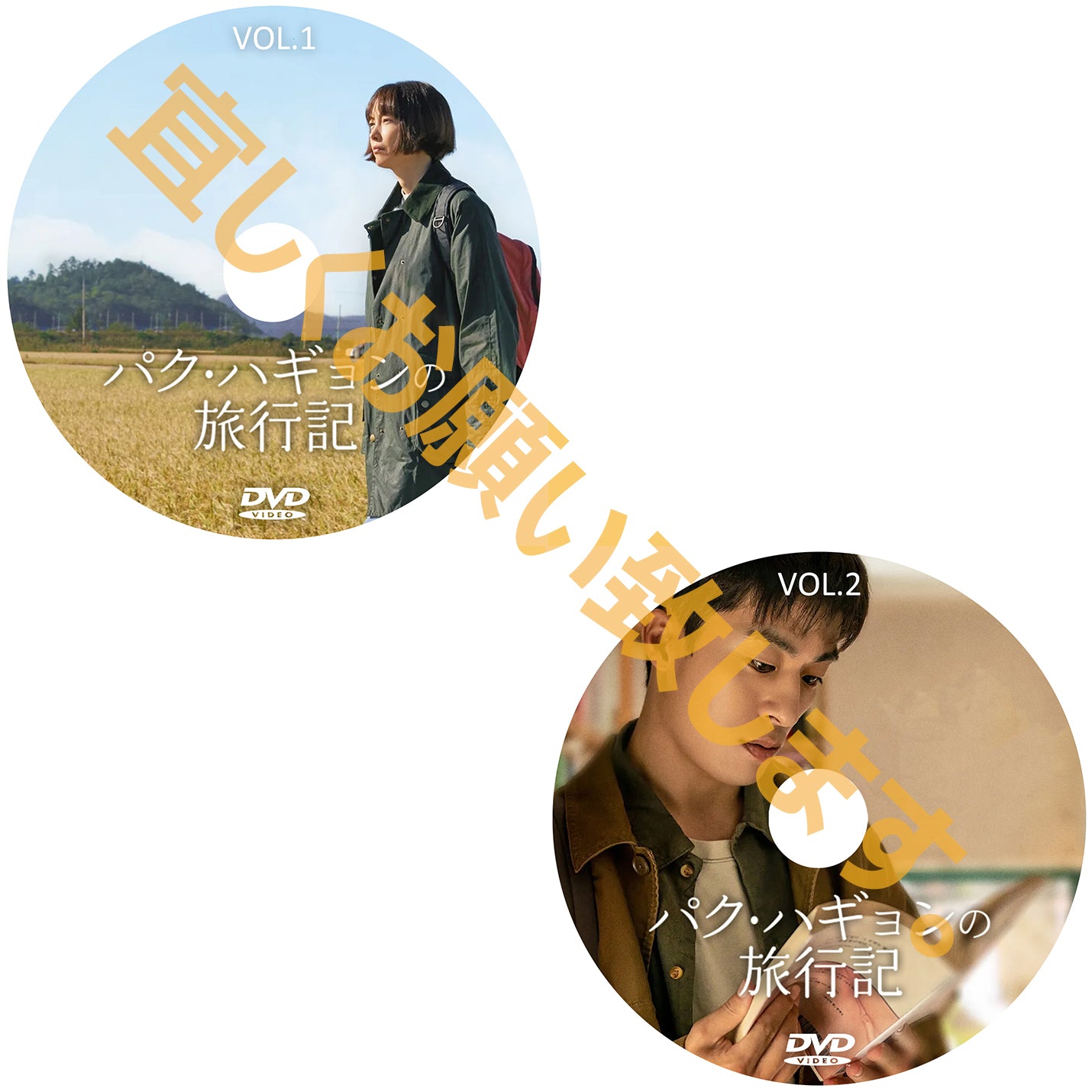 1067.パク・ハギョンの旅行記