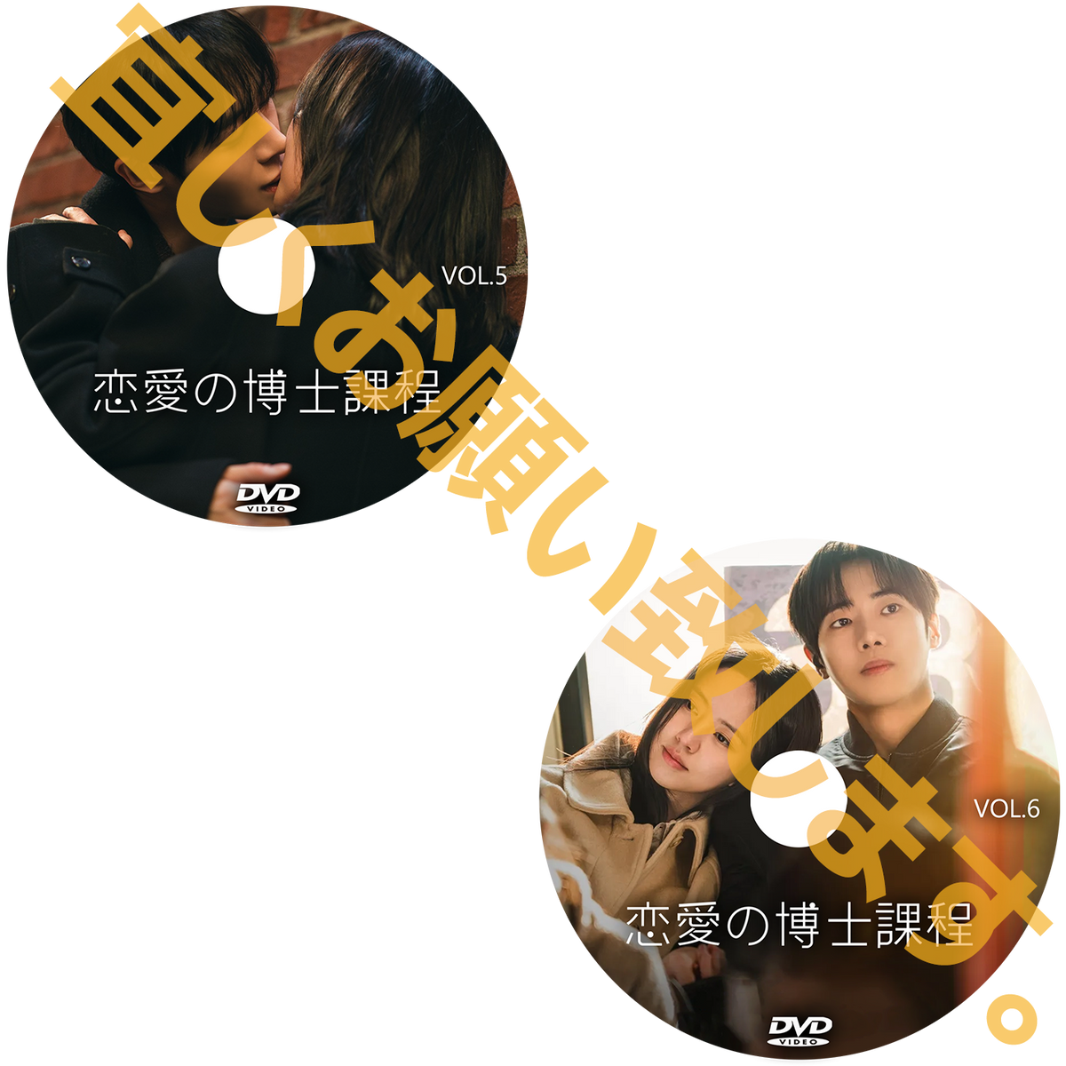 1286. 恋愛の博士課程　【予約販売商品】