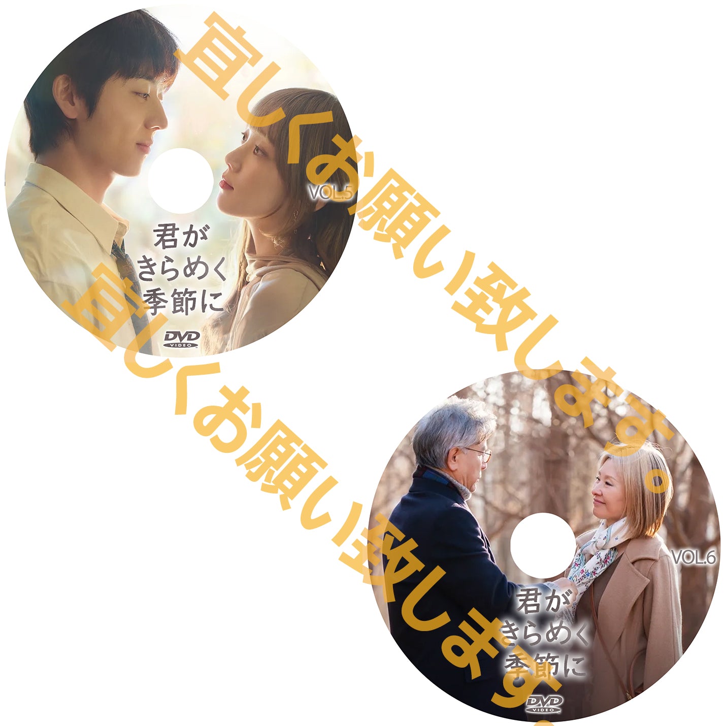 1142. 君がきらめく季節に　[予約発送商品]