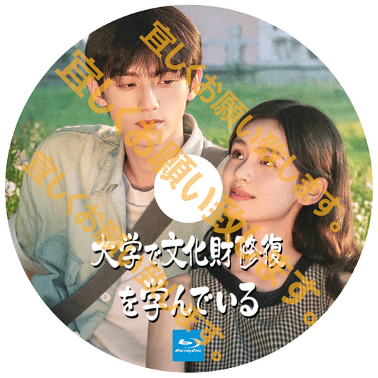 A501. 大学で文化財修復を学んでいる